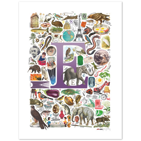 E is for Explore - a poster with English E words