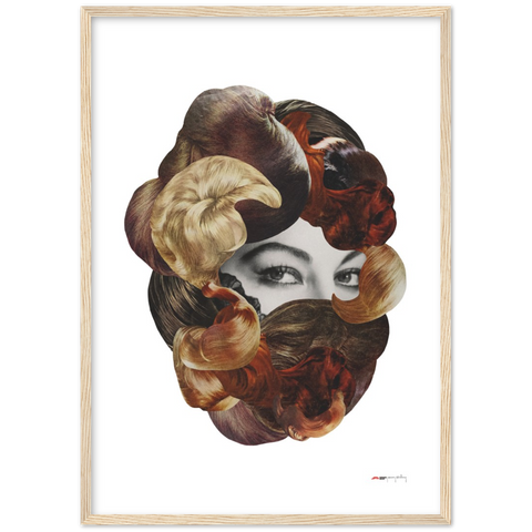 Hairy Allure - a fancy coiffure poster