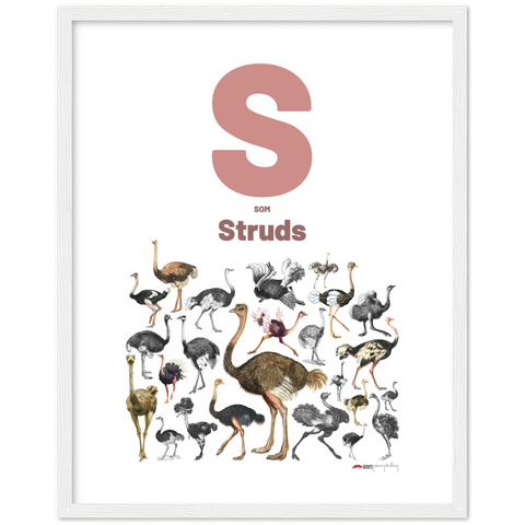 S som Struds - a Danish letter poster