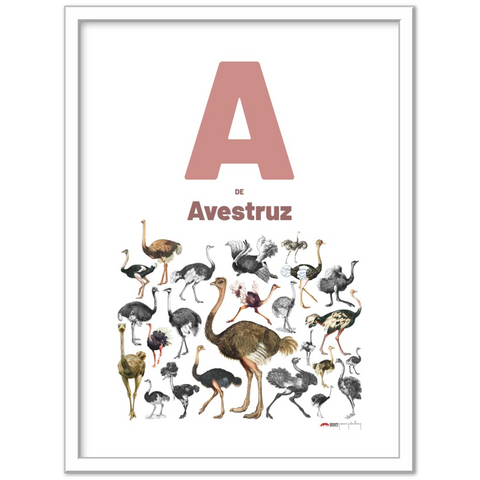 A de Avestruz - a Portuguese letter poster