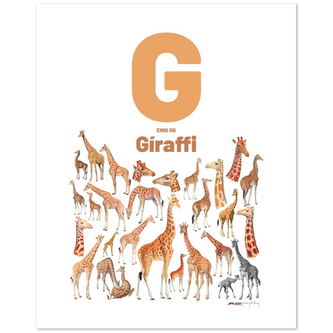 G eins og Gíraffi - an Icelandic letter poster