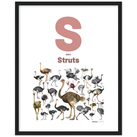 S som i Struts - a Swedish letter poster