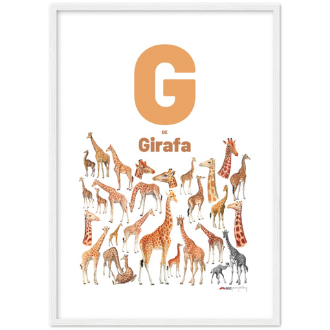 G de Girafa - a Portuguese letter poster
