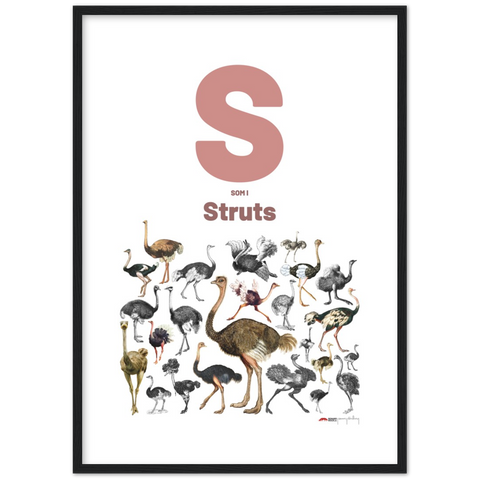 S som i Struts - a Swedish letter poster