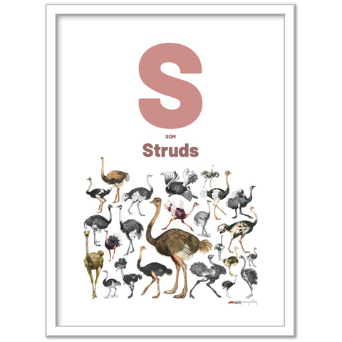 S som Struds - a Danish letter poster