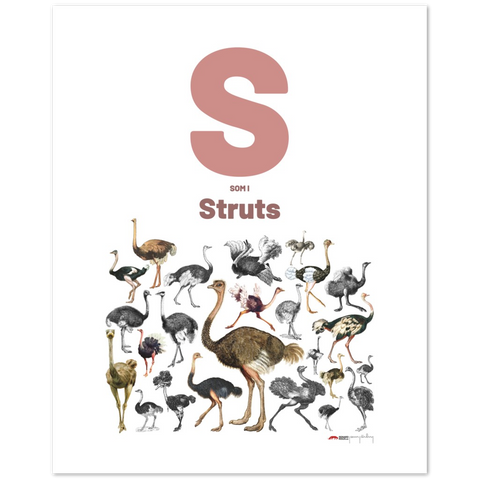 S som i Struts - a Swedish letter poster