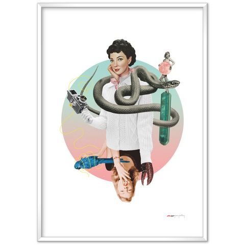 Norwegian Blue - a collage poster