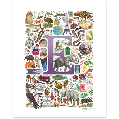 E is for Explore - a poster with English E words