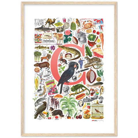 C is for Curious - a poster with English C words