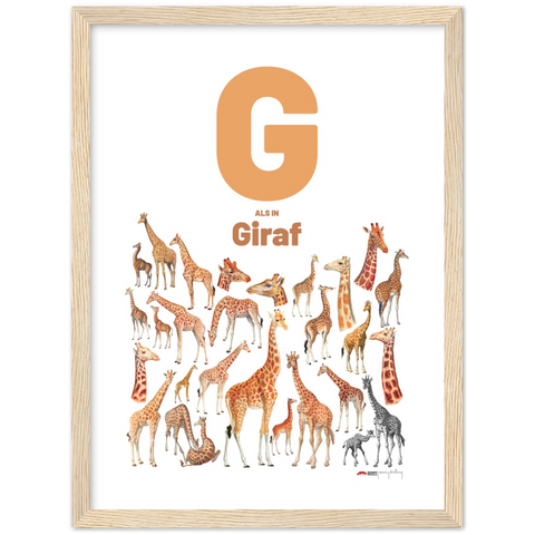 G als in Giraf - a Dutch letter poster