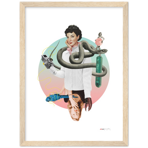 Norwegian Blue - a collage poster