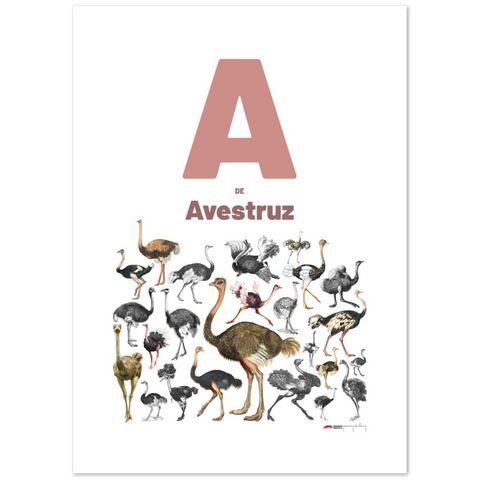 A de Avestruz - a Spanish letter poster