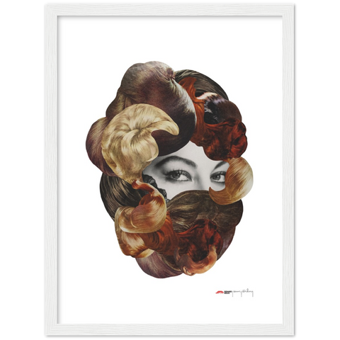 Hairy Allure - a fancy coiffure poster