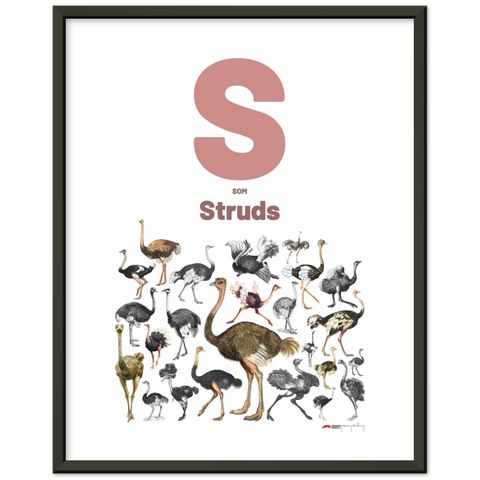 S som Struds - a Danish letter poster