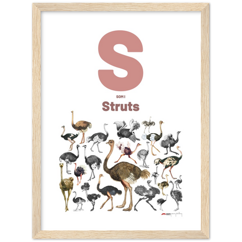S som i Struts - a Swedish letter poster
