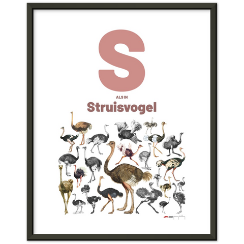 S als Struisvogel - a Dutch letter poster