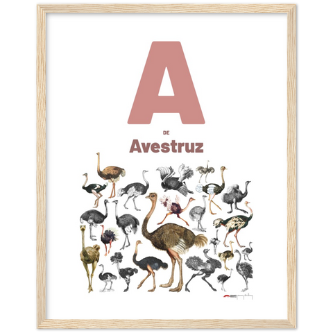 A de Avestruz - a Portuguese letter poster