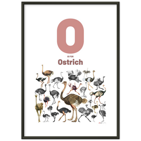 O is for Ostrich - an English letter poster