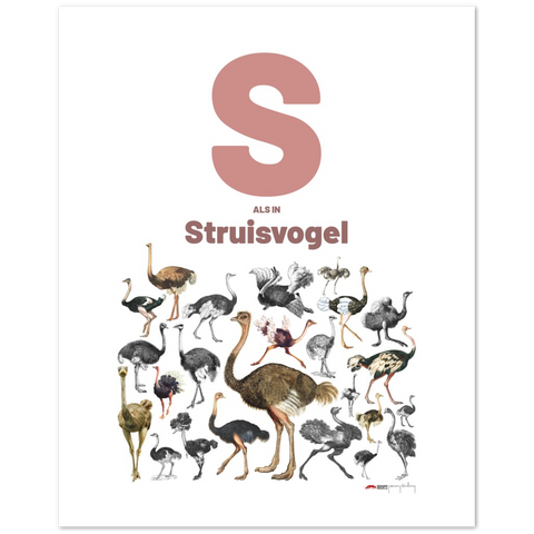 S als Struisvogel - a Dutch letter poster