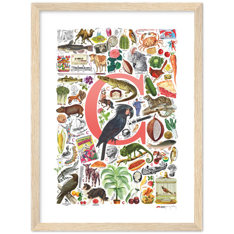 C is for Curious - a poster with English C words