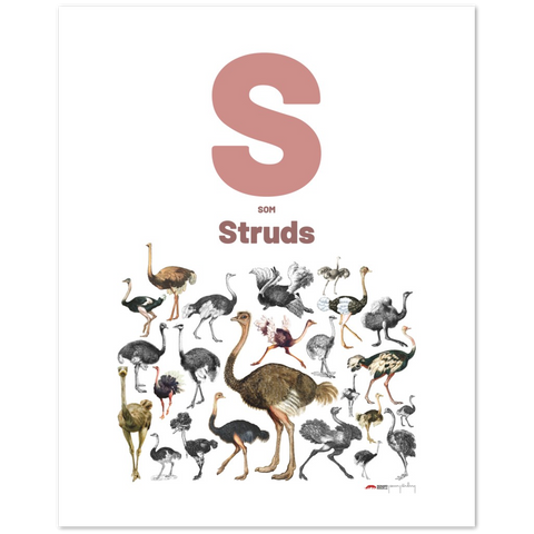 S som Struds - a Danish letter poster