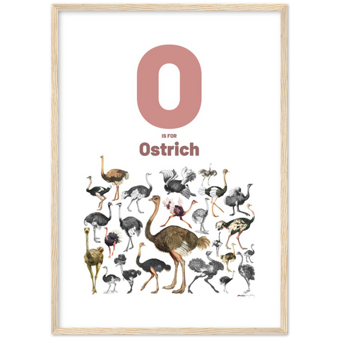 O is for Ostrich - an English letter poster