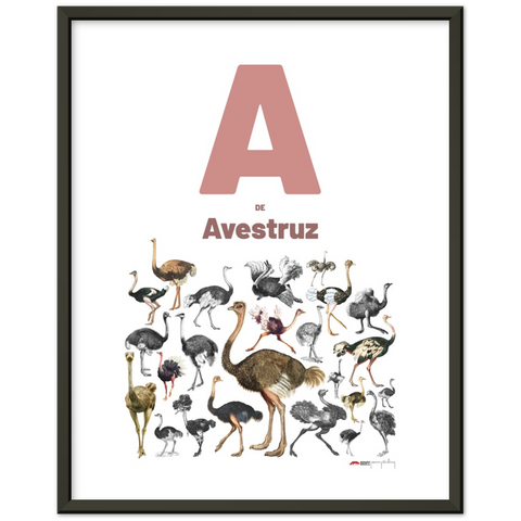 A de Avestruz - a Portuguese letter poster