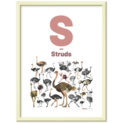 S som Struds - a Danish letter poster