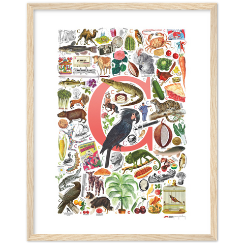 C is for Curious - a poster with English C words