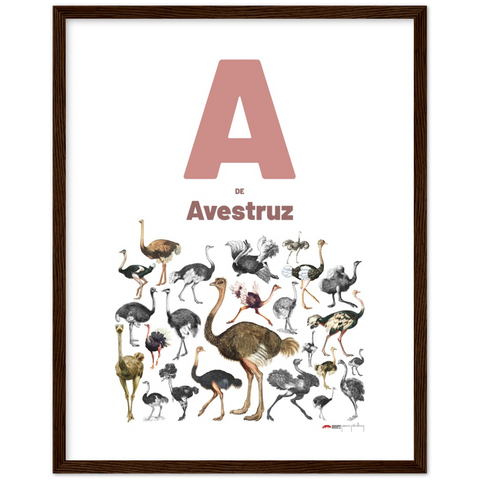 A de Avestruz - a Spanish letter poster