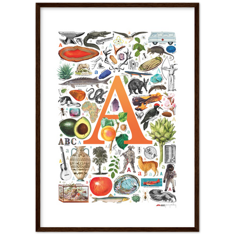 A is for Adventure - a poster with English A words