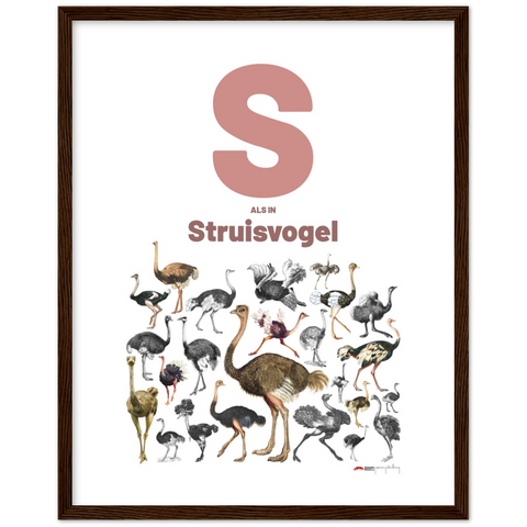 S als Struisvogel - a Dutch letter poster