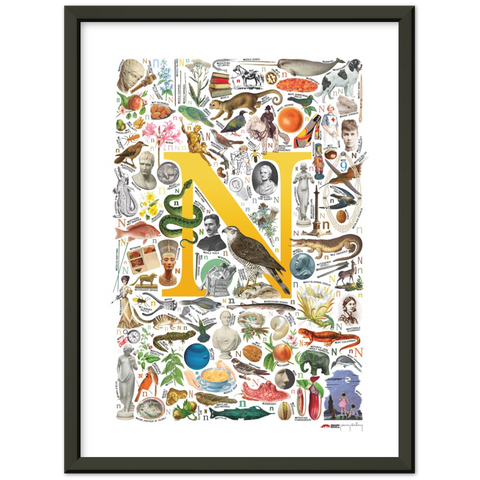 N is for Nature - a poster with English N words