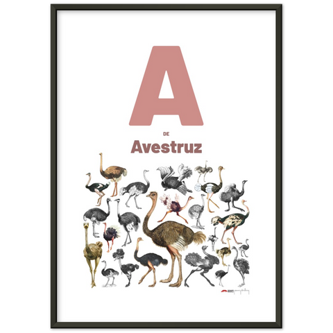 A de Avestruz - a Portuguese letter poster