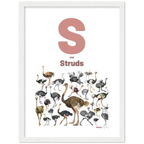 S som Struds - a Danish letter poster