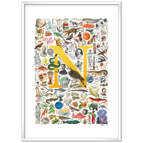N is for Nature - a poster with English N words