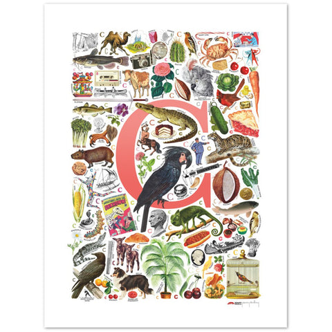 C is for Curious - a poster with English C words