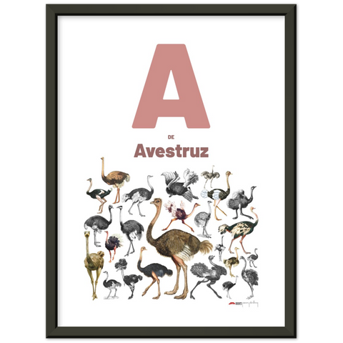 A de Avestruz - a Spanish letter poster