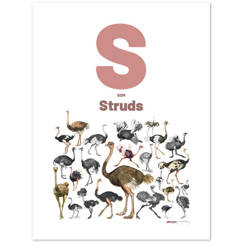 S som Struds - a Danish letter poster