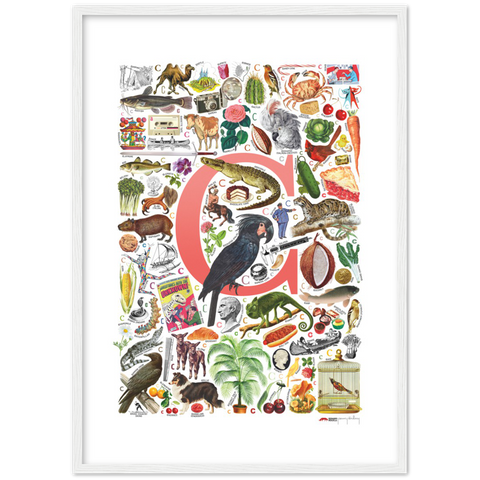 C is for Curious - a poster with English C words