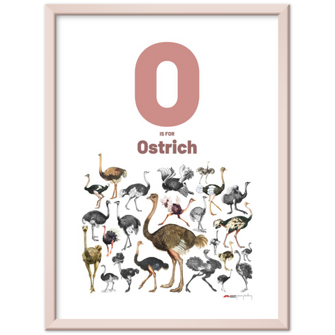 O is for Ostrich - an English letter poster