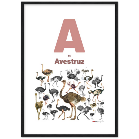 A de Avestruz - a Spanish letter poster