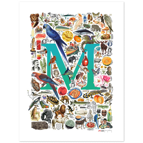 M is for Magical - a poster with English M words