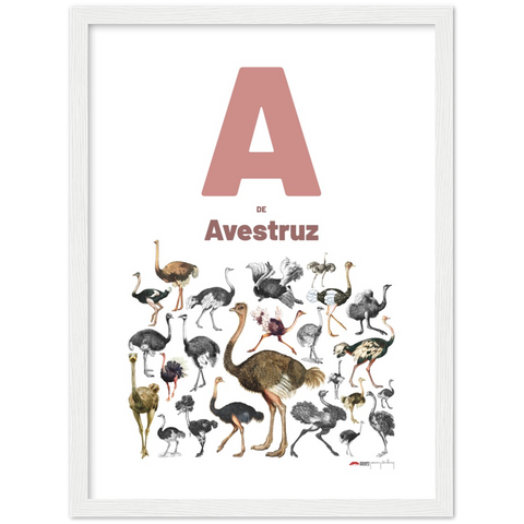 A de Avestruz - a Spanish letter poster