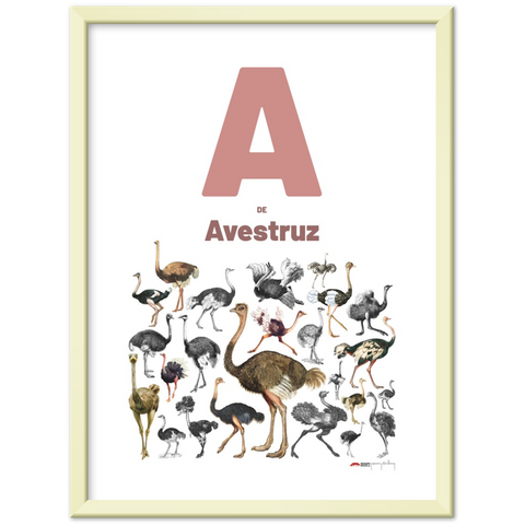 A de Avestruz - a Spanish letter poster
