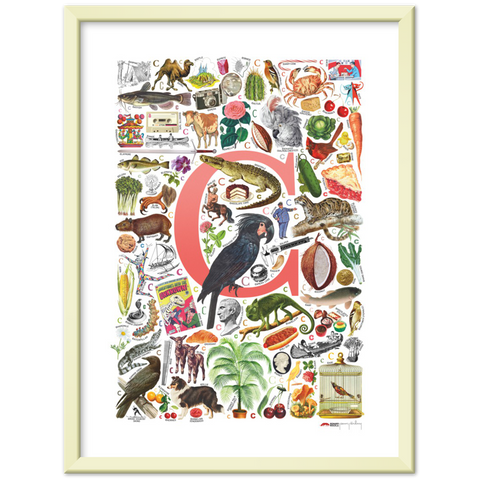 C is for Curious - a poster with English C words