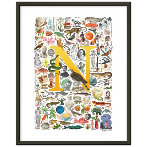 N is for Nature - a poster with English N words