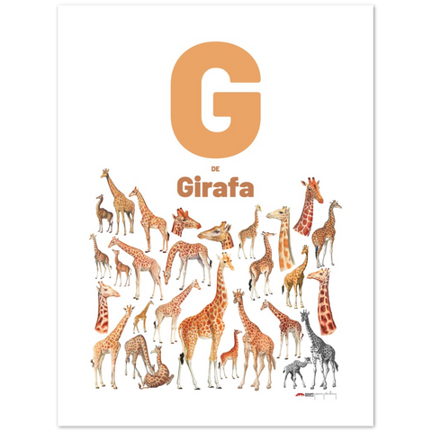 G de Girafa - a Portuguese letter poster