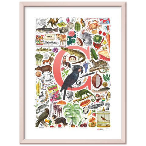 C is for Curious - a poster with English C words