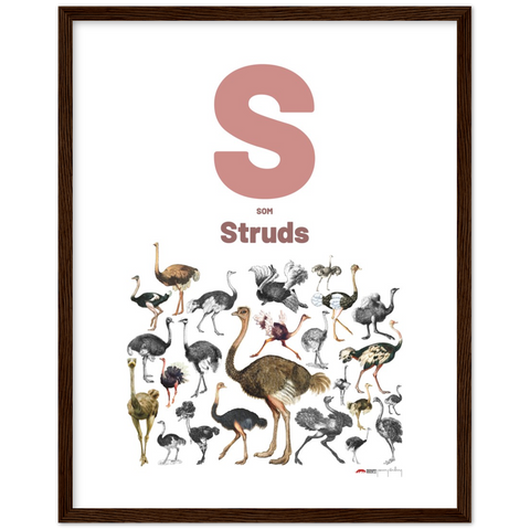 S som Struds - a Danish letter poster
